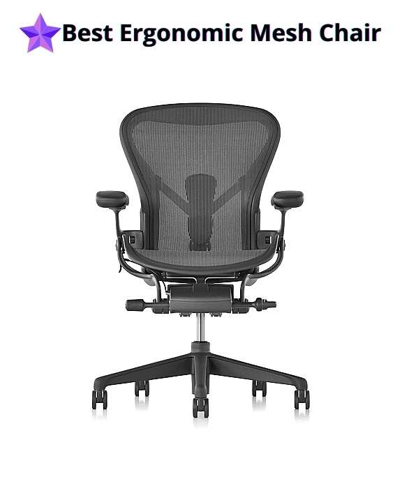 Herman Miller Aeron Ergonomic Mesh Chair