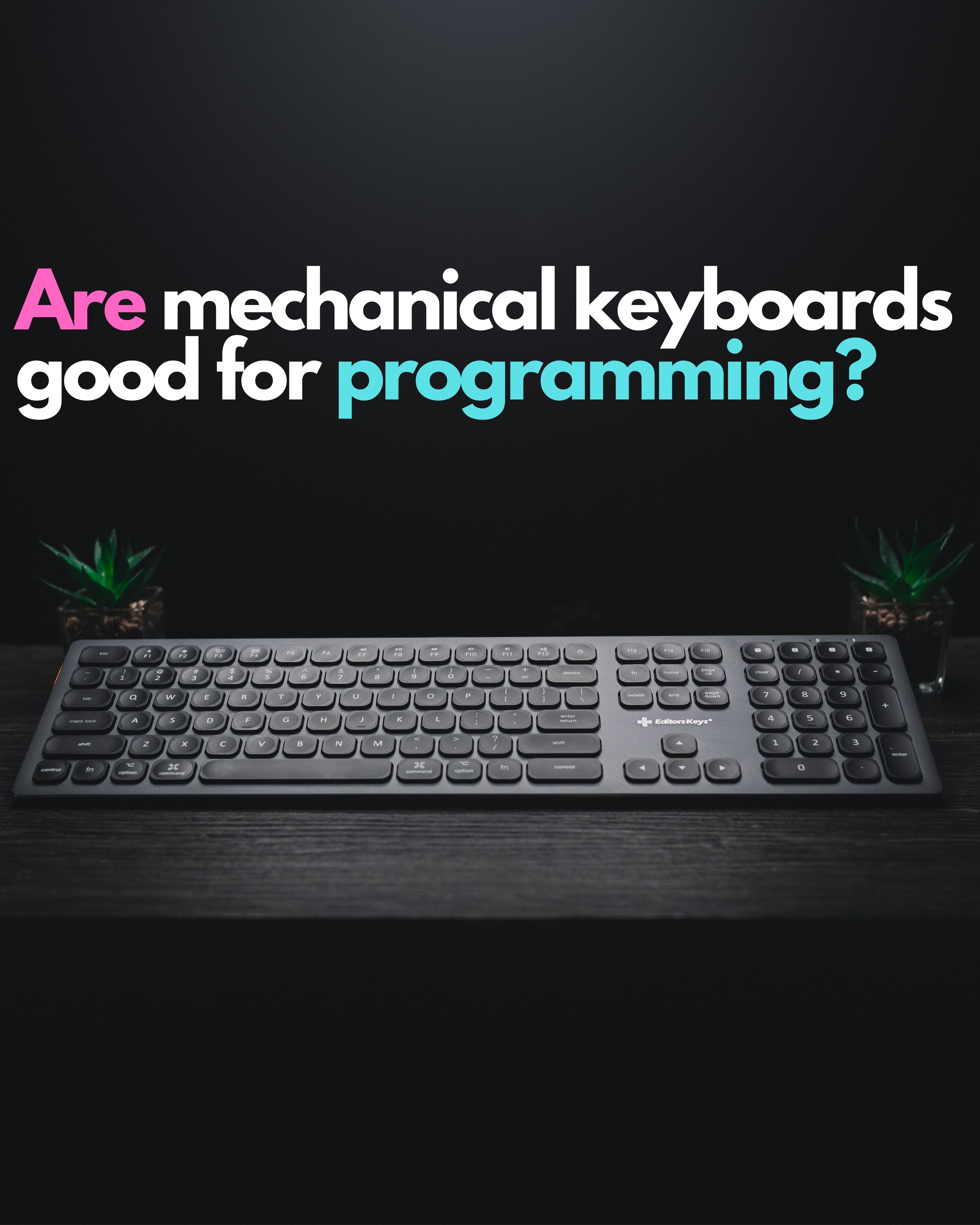 Are mechanical keyboards good for programming?